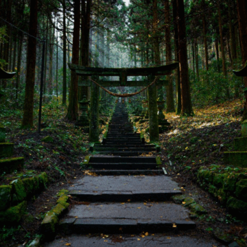 A Simple Line That Can Calm Your Entire Life