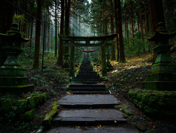 image_2025-11-29_12-43-08 A Simple Line That Can Calm Your Entire Life